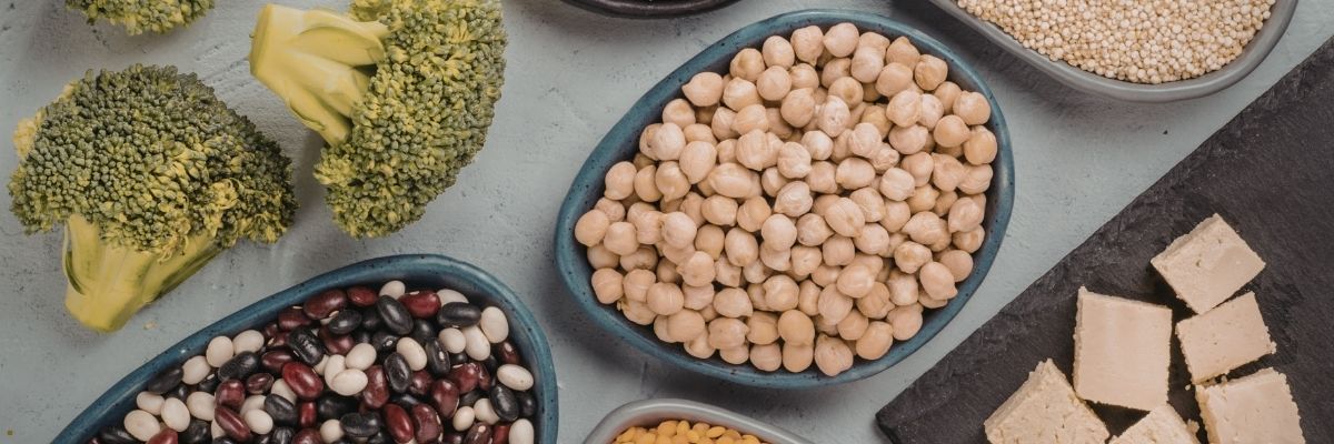 Egzersiz Sonrası İçin Bitkisel Protein Alternatifleri